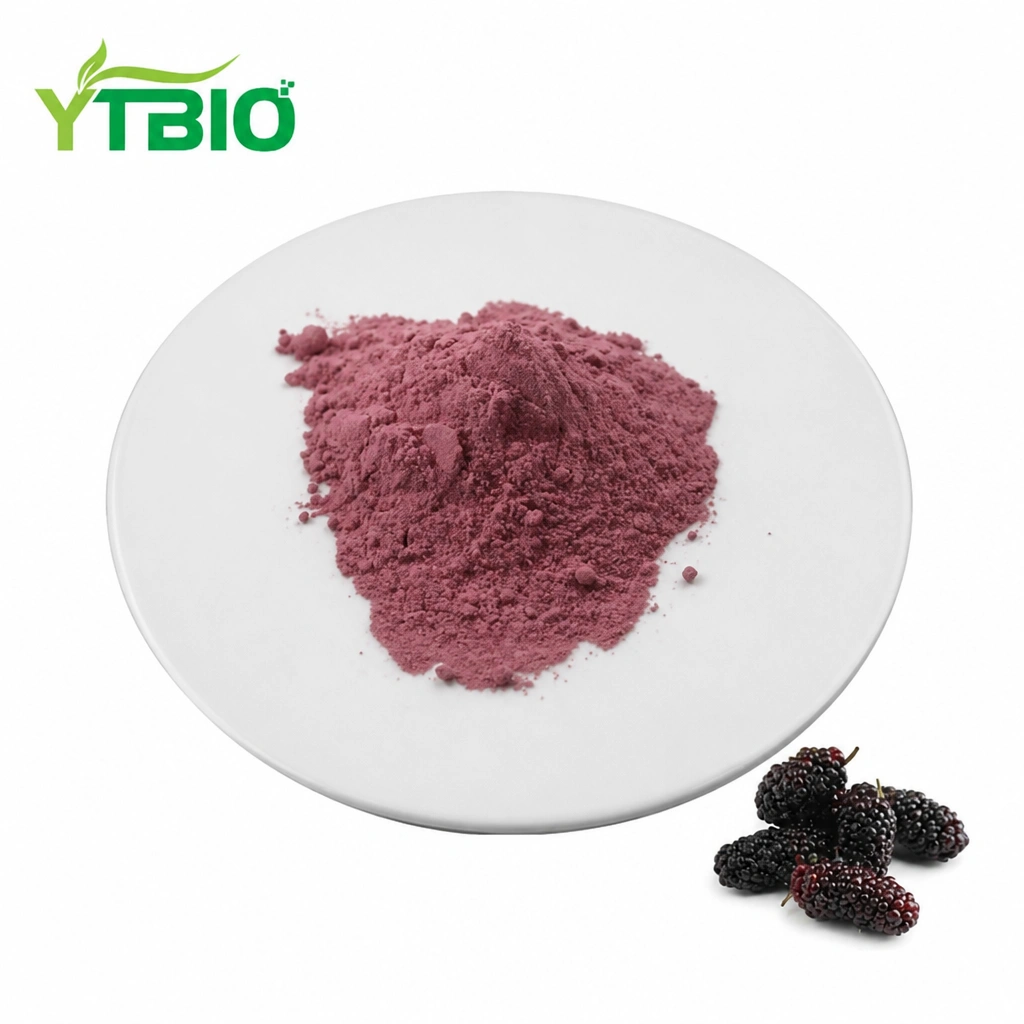 Mulberry Juice SD Powder